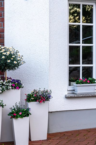 LHER-imagen cuadrada-4